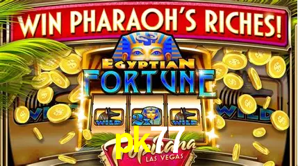 Jogos de mesa e apostas rápidas na pk77
